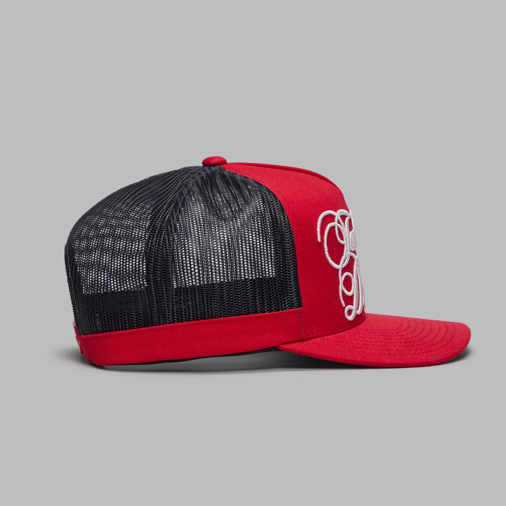 TAKE IT UP WITH MY DRIVER TRUCKER HAT |HATS