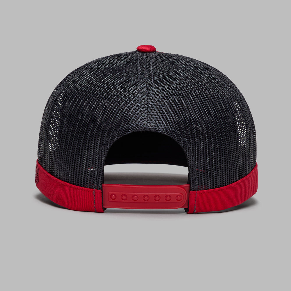TAKE IT UP WITH MY DRIVER TRUCKER HAT |HATS