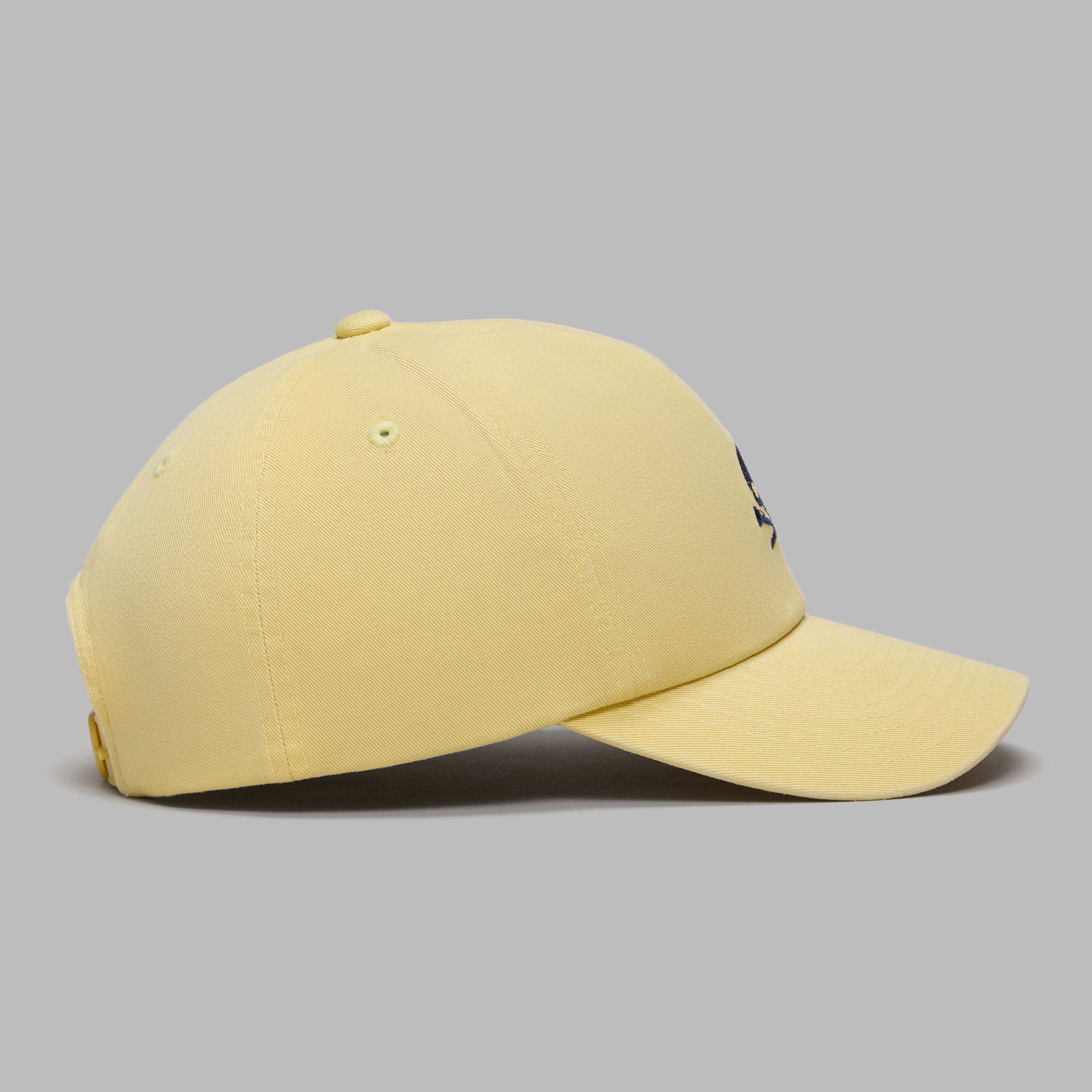 MINI SKULL & TEES LOW PROFILE HAT